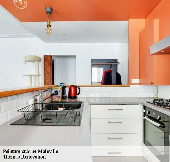 pose-de-peinture-cuisine-maleville-12350-7