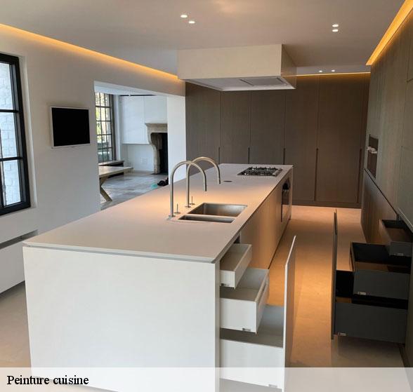 pose-de-peinture-cuisine-plaisance-12550-3