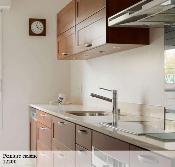 pose-de-peinture-cuisine-saint-remy-12200-8