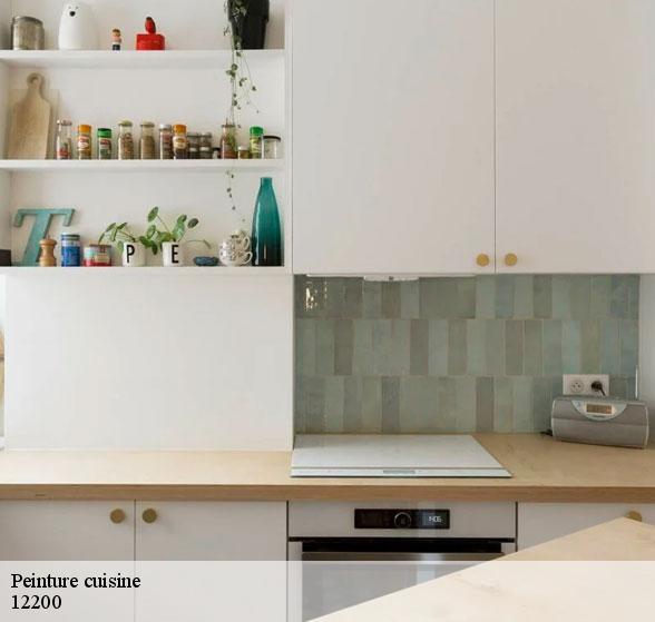 pose-de-peinture-cuisine-sanvensa-12200-2