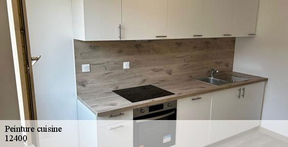 pose-de-peinture-cuisine-versols-et-lapeyre-12400-5