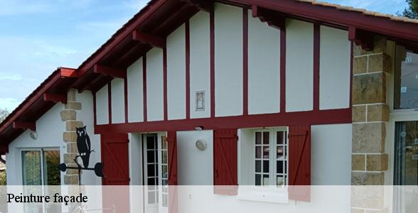 entreprise-specialisee-en-peinture-facade-buzeins-12150-6