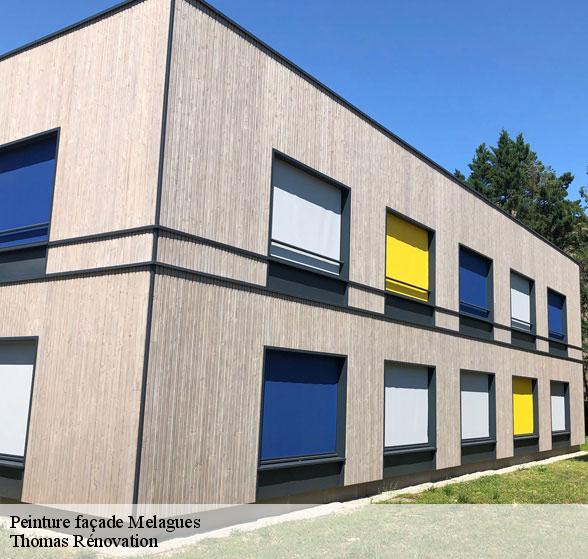 entreprise-specialisee-en-peinture-facade-melagues-12360-4