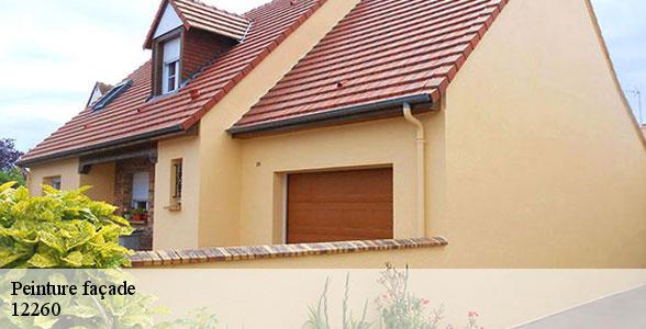 entreprise-specialisee-en-peinture-facade-saint-igest-12260-5