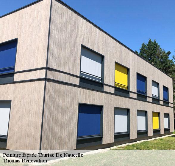 entreprise-specialisee-en-peinture-facade-tauriac-de-naucelle-12800-4