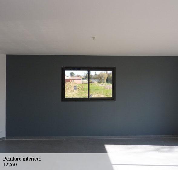 peinture-interieure-de-qualite-balaguier-d-olt-12260-2