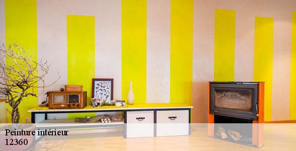 peinture-interieure-de-qualite-brusque-12360-5