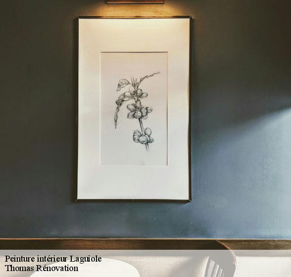 peinture-interieure-de-qualite-laguiole-12210-4