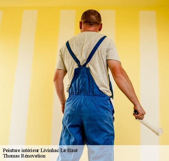 peinture-interieure-de-qualite-livinhac-le-haut-12300-7