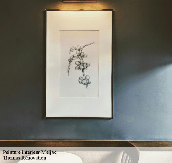 peinture-interieure-de-qualite-meljac-12120-4