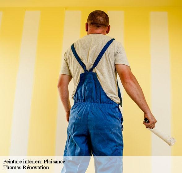 peinture-interieure-de-qualite-plaisance-12550-7