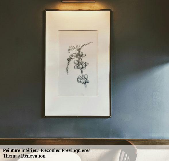 peinture-interieure-de-qualite-recoules-previnquieres-12150-4