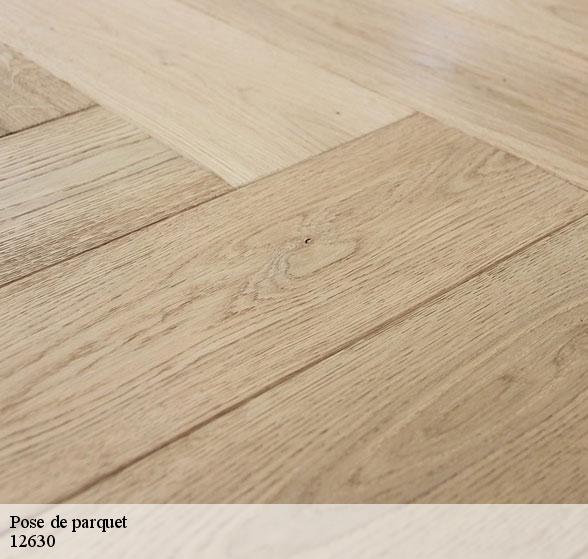 expert-en-pose-de-parquet-montrozier-12630-2