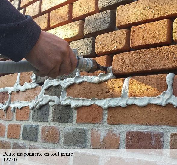 societe-petite-maconnerie-en-tout-genre-les-albres-12220-2