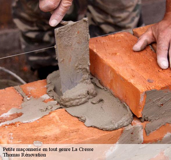 societe-petite-maconnerie-en-tout-genre-la-cresse-12640-4