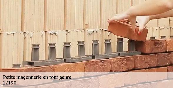 societe-petite-maconnerie-en-tout-genre-le-nayrac-12190-5