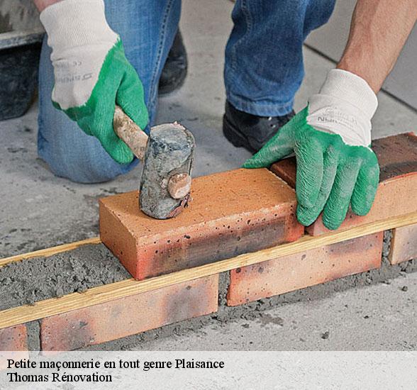 societe-petite-maconnerie-en-tout-genre-plaisance-12550-1